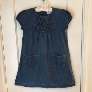 Hanna Denim Dress